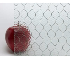 Chicken Wire Glass