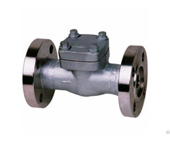 Forged Swing Lift Check Valve