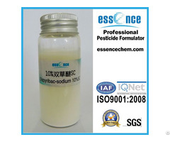 Bispyribac Sodium 10 Percent Sc