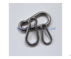 Stainless Steel Snap Hooks