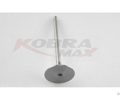 Kobra Max Exhaust Valve 8 Pcs 7701471378