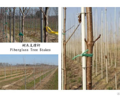 Fiberglass Tree Stake