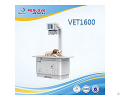 Pet Hospital Use Digital Radiography X Ray Unit Vet1600