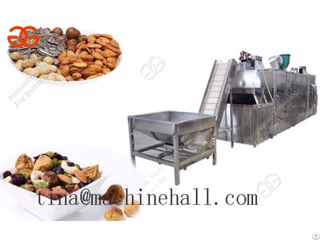 Sunflower Seed Roasting Machine Cost