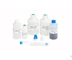 Kit For Determination Of The Dna Fragmentation Level In Spermatozoa