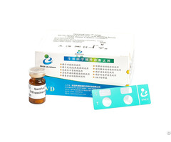 Kit For Sperm Hyaluronic Acid Binding Assay