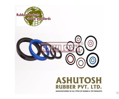 Hydraulic Rubber Seal