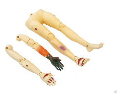 Jy T4 Trauma Limbs