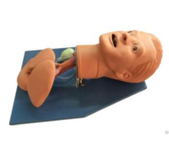 Jy J 004 Airway Managerment Model