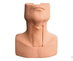 Jy J 007 Advanced Tryrocricocentesis Tracheostomy Simulator