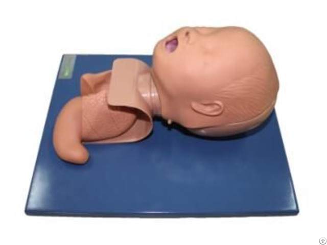 Jy J 001 Neonate Tracheal Intubation Model