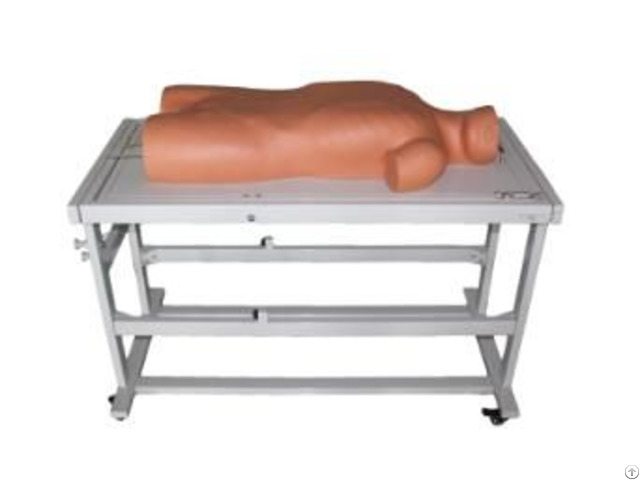 Jy L 1002 Abdominal Shifting Dullness Percussion And Abdominocentesis Simulator