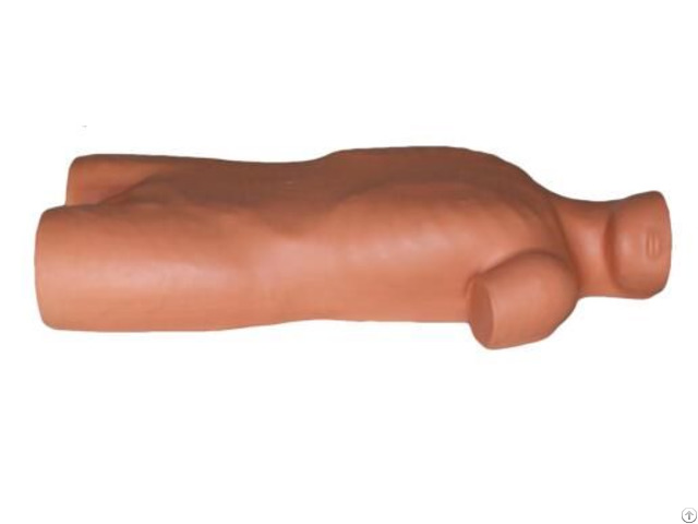 Jy L 1010 Full Functional Venipuncture Simulator