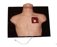 Jy L 1020 Venous Intervention Simulator