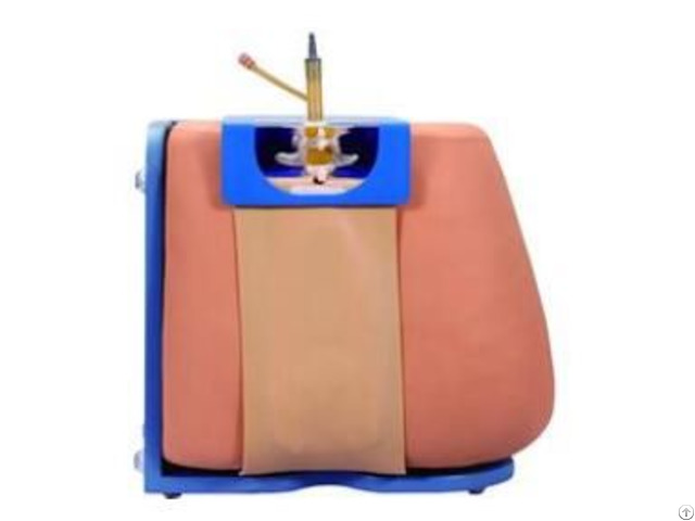 Jy L 1021 Lumbar Puncture Model