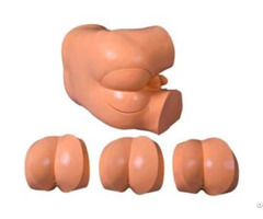 Jy L 1023b Rectal Touch Examination Simulator