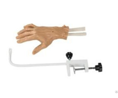 Jy L 102d Hand Arthroscopy Model