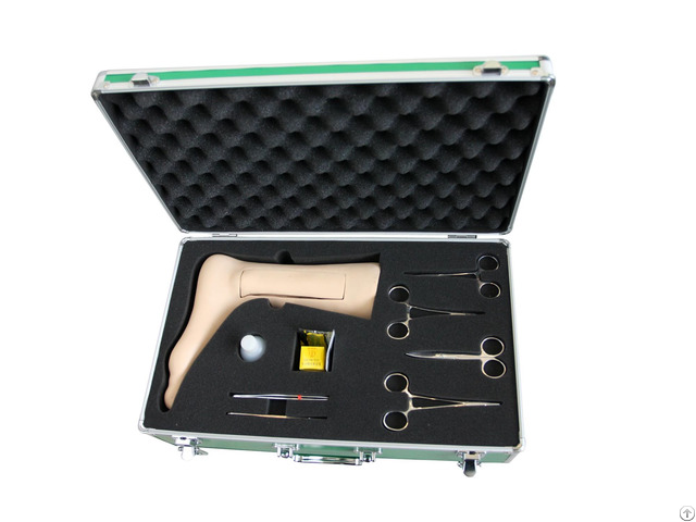 Jy L B4 Advanced Vein Incision Model