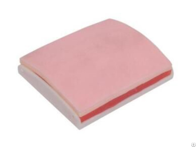 Jy L B8 Skin And Muscle Suture Practice Pad