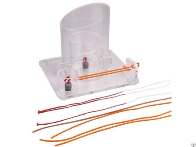 Jy L B15 Surgical Knotting Skill Training Model