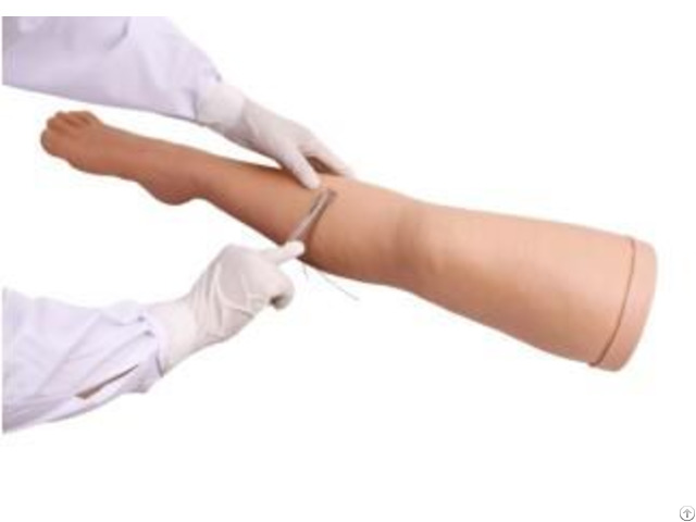 Jy L B26 Surgical Suture Leg