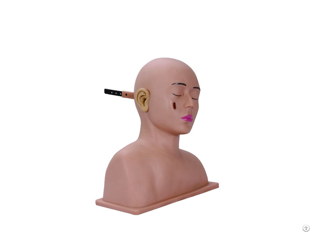 Jy L W02 Ear Diagnostic Simulator