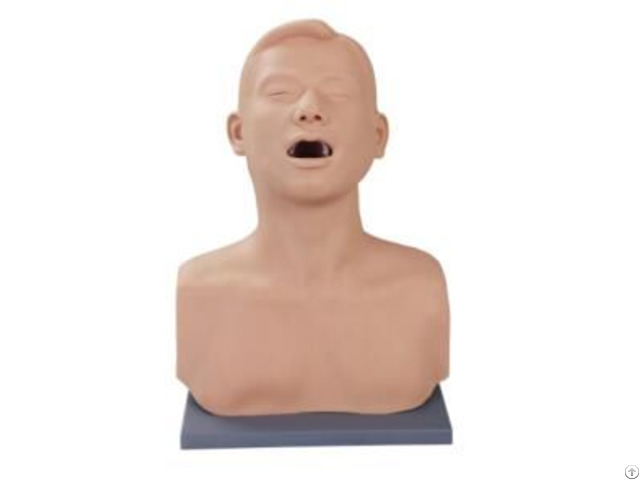Jy L W09 Vocal Cord Tumor Examination Model