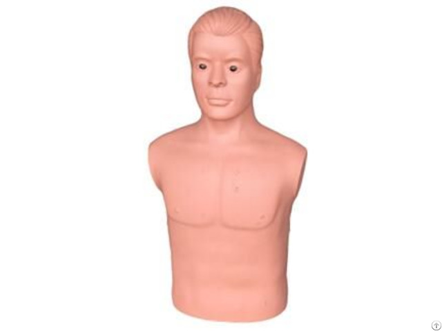 Jy Tcz001 Auscultation Manikin