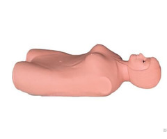 Jy Tcz002 Abdominal Palpation Manikin