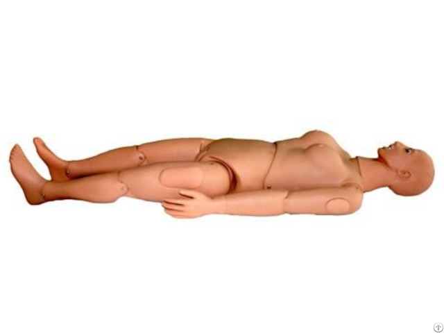 Jy H 106 Basic Nursing Manikin