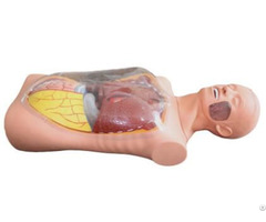 Jy H 0003 Multi Functional Transparent Gastric Lavage Simulator