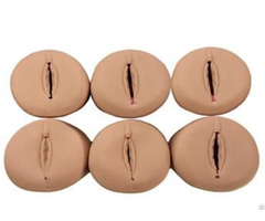 Jy F 0014 Prenatal Cervix And Birth Canal Model