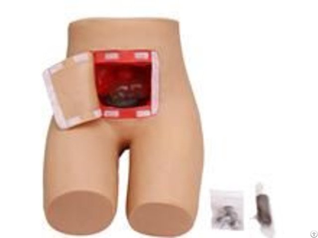 Jy H 0023 Enema And Assisted Defecation Training Simulator