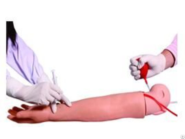 Jy H 1005 Arm Artery Puncture And Intramuscular Injection Training Model