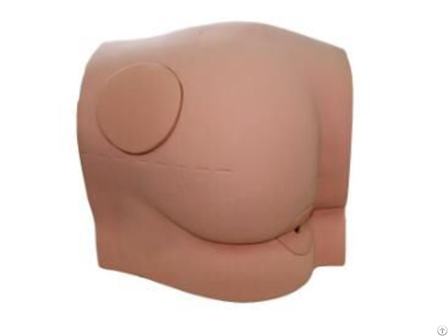 Jy H 1029 Buttocks Intramuscular Injection Model