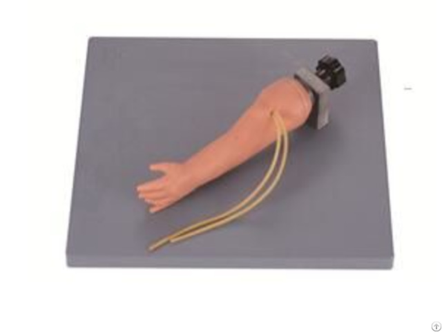 Jy H 3034 Advanced Infant Vein Injection Arm