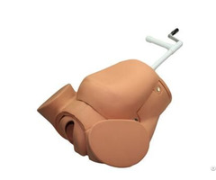 Jy F 0003 Advanced Childbirth Education Training Simulator