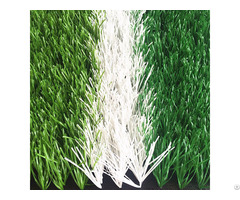 Jiangsen Artificial Grass