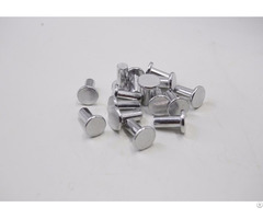 Aluminum Rivet