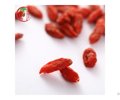 Organic Goji Berry