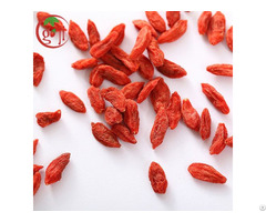 Low Pesticide Goji Berry