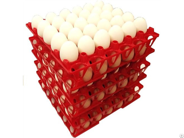 Plastic Egg Tray For Chicken Eggs 30 Holes