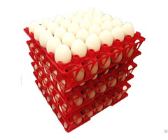 Plastic Egg Tray For Chicken Eggs 30 Holes