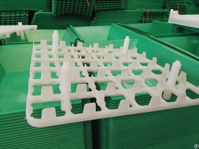 Chicken Plastic Egg Tray 36 Holes