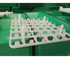 Chicken Plastic Egg Tray 36 Holes