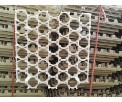 Plastic Egg Tray For Chicken Eggs 42 Holes