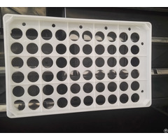 Chicken Plastic Egg Tray 60 Holes