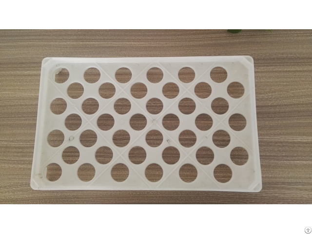 Duck Plastic Egg Tray 42 Eggs