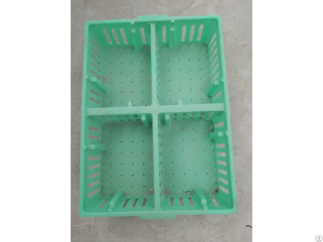 Baby Chicks Crates Plastic Coops