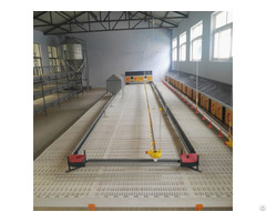 Broiler Chicken Chain Feeding System